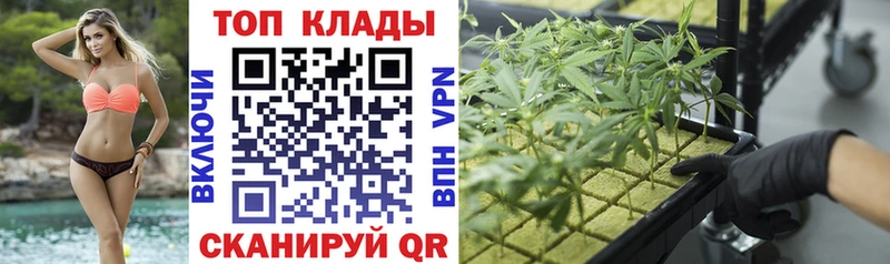 Наркотические вещества Шуя LSD-25 ГАШИШ Марихуана Кокаин