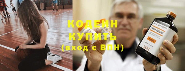 Альфа ПВП Гусев