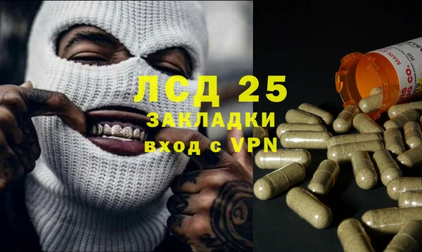 Альфа ПВП Гусев