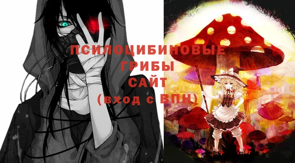 прущий лед Гусь-Хрустальный