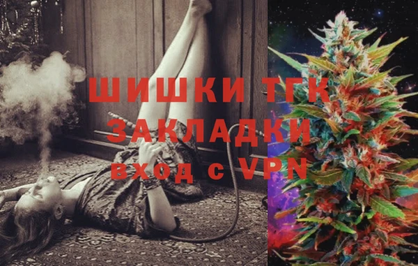 Альфа ПВП Гусев