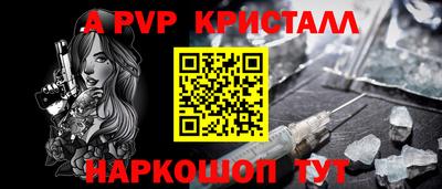 индика Сланцы