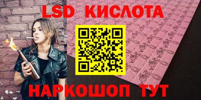 индика Сланцы
