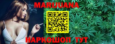 индика Сланцы