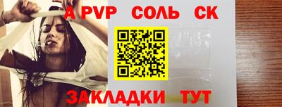индика Сланцы