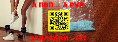 индика Сланцы