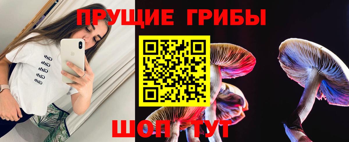 Псилоцибиновые грибы MAGIC MUSHROOMS  Вход с VPN  Шуя 
