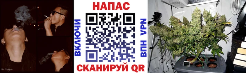 Бошки марихуана Amnesia  где купить наркоту  Шуя 