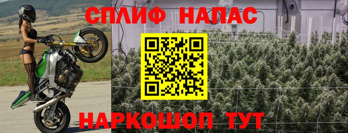 Шишки марихуана план Шуя